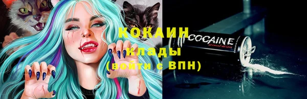 прущие грибы Богородицк