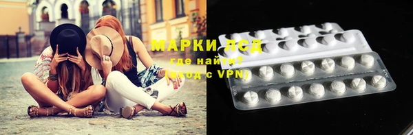 прущие грибы Богородицк