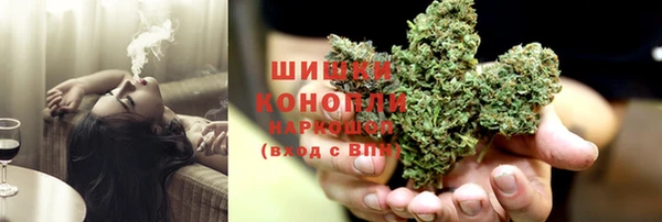 прущие грибы Богородицк
