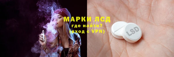 прущие грибы Богородицк