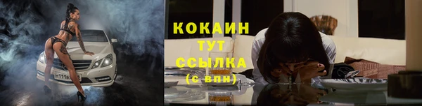 дурь Богданович