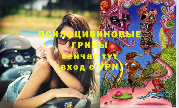 прущие грибы Богородицк