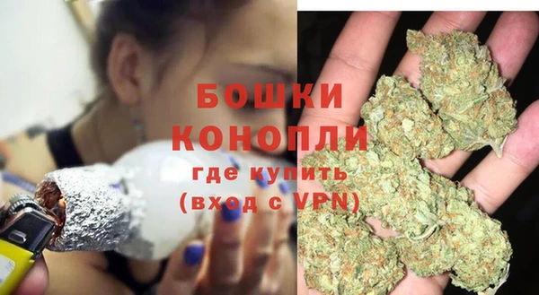 дурь Богданович
